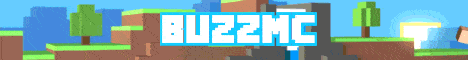 BuzzMC: Minecraft Server v1.20.4 | USA Gaming Community