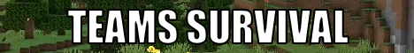 PiCraft Minecraft Server - Version 1.21.5